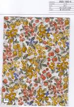 60ローン　ベリー