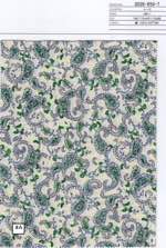 60ローン　ペーズリー