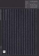 セルビッチデニムワバッシュ