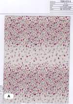 80/240本　ボーダープチ小花