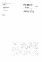 木漏れ日【オパールボイル】