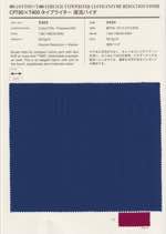  ＣＰＴ８０×Ｔ４００タイプライター　液流バイオ