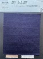 20/1 フォギー天竺