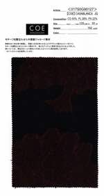 【COE】CASABLANCA JQ