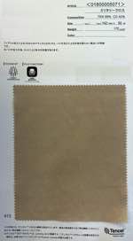 Ten/C　ミリタリークロス