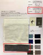 Angel Wool ベアボーダー