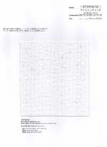 ファンシーチェック